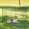 Show in main carousel: IRIS USA 8 Panel Metal Dog Playpen, 36-in slide 6 of 7