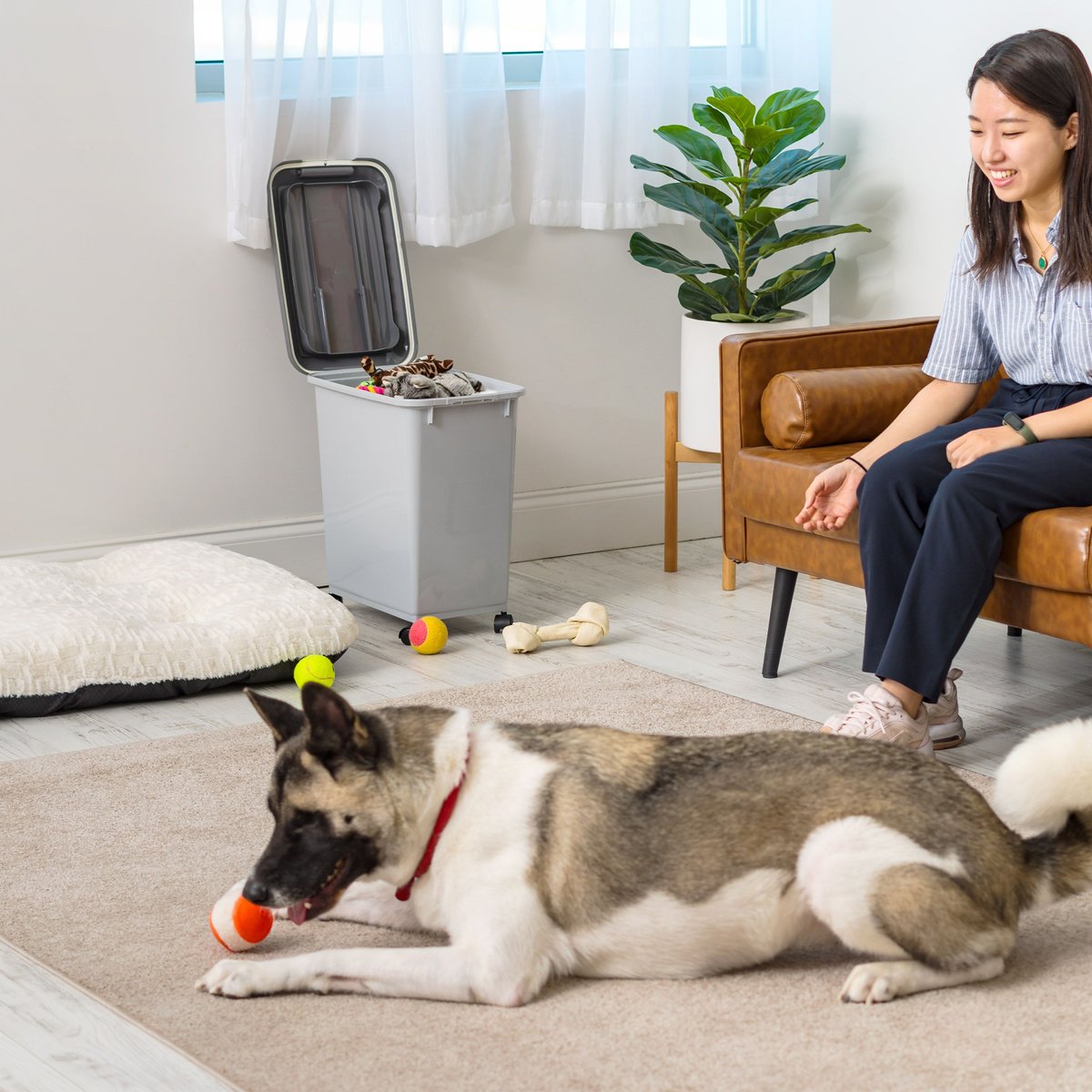 Rice Container IRIS USA Premium Airtight Dog Food Storage