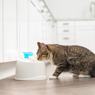 Show full view: IRIS Dog & Cat Two Flow Options Automatic Water Fountain, Blue, 44-oz slide 3 of 11