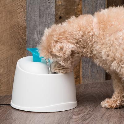 Show full view: IRIS Dog & Cat Two Flow Options Automatic Water Fountain, Blue, 44-oz slide 8 of 11