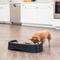 Show in main carousel: IRIS Elevated Dog Feeder with Attachable Feet, Black, 8-cup slide 3 of 11
