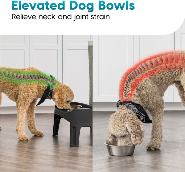Show full view: IRIS Elevated Dog Feeder with Attachable Feet, Black, 8-cup slide 6 of 11