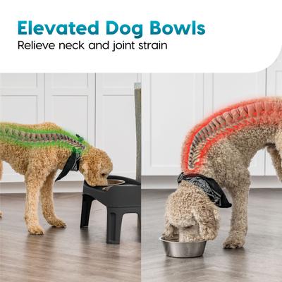 Show full view: IRIS Elevated Dog Feeder with Attachable Feet, Black, 8-cup slide 6 of 11