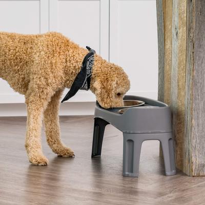Show full view: IRIS Elevated Dog Feeder with Attachable Feet, Gray, 8-cup slide 4 of 12