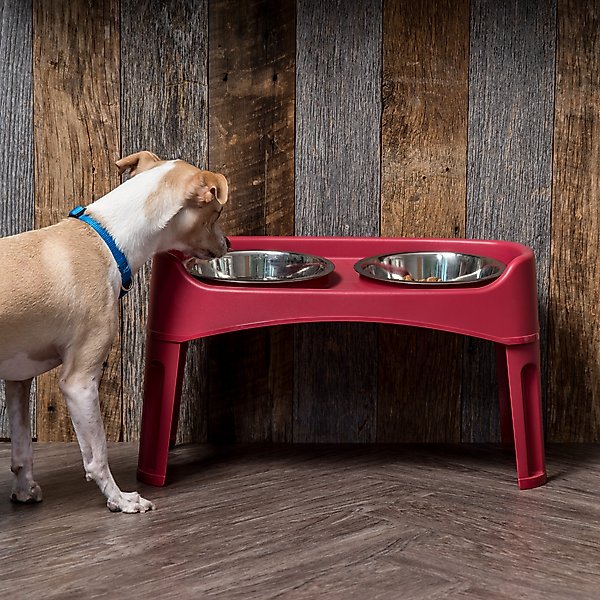 Show full view: IRIS Elevated Dog Feeder with Attachable Feet, Red, 8-cup slide 2 of 9