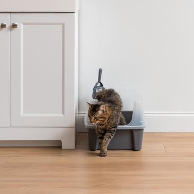 Show full view: IRIS Large Cat Litter Box with Scatter Shield & Scoop, Dark Gray slide 7 of 11