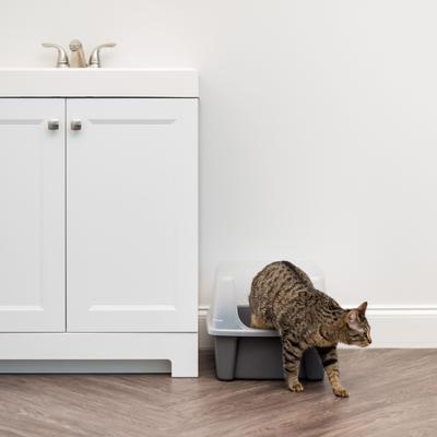 Show full view: IRIS Large Cat Litter Box with Scatter Shield & Scoop, Dark Gray slide 8 of 11
