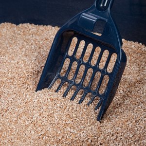 IRIS Large Cat Litter Box with Scatter Shield & Scoop, Navy