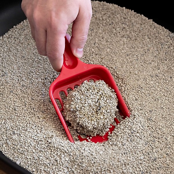 Show full view: IRIS Large High-Back Open Top Cat Litter Pan with Scatter Shield & Scoop slide 8 of 9