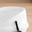 Show in main carousel: IRIS Large High-Back Open Top Cat Litter Pan with Scatter Shield & Scoop, White slide 6 of 9