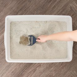 IRIS Large Open Top Cat Litter Pan, Pearl slide 2 of 7