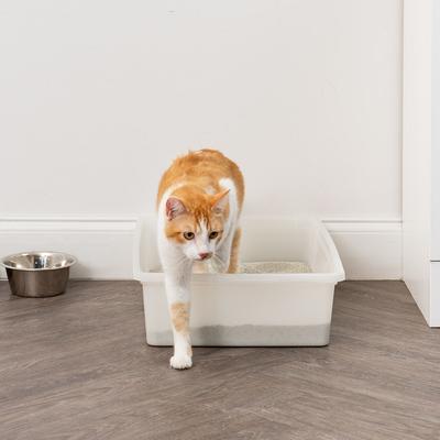 Show full view: IRIS Large Open Top Cat Litter Pan, Pearl slide 6 of 9
