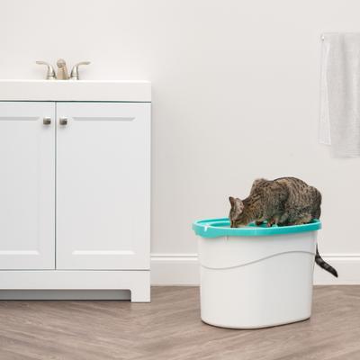 Show full view: IRIS Large Round Top Entry Cat Litter Box & Scoop, White/Green slide 3 of 9