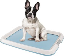 IRIS Non-skid Dog Plastic Training Pad Holder, Blue, Medium