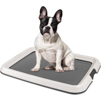 IRIS IRIS Non-skid Dog Plastic Training Pad Holder, Gray, Medium