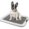 Show in main carousel: IRIS Non-skid Dog Plastic Training Pad Holder, Gray, Medium slide 1 of 10
