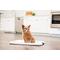 Show in main carousel: IRIS Non-skid Dog Plastic Training Pad Holder, Gray, Medium slide 4 of 10