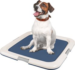 IRIS Non-skid Dog Plastic Training Pad Holder, Navy, Large
