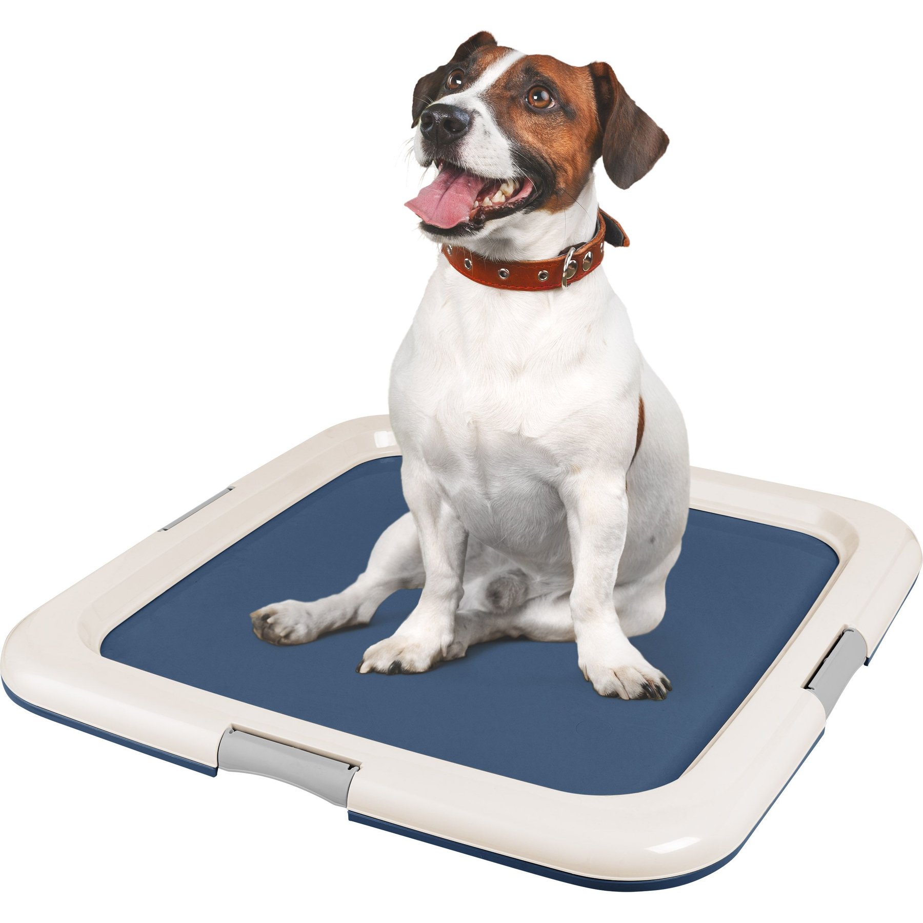 IRIS Non-skid Dog Plastic Training Pad Holder, Navy, Large