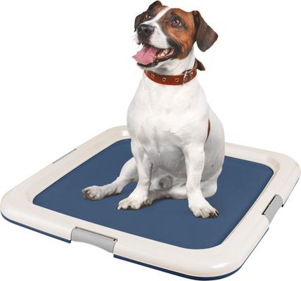 Large Puppy Training Pads – Leak Proof & Odor Resistant – 50 To 200 Pack