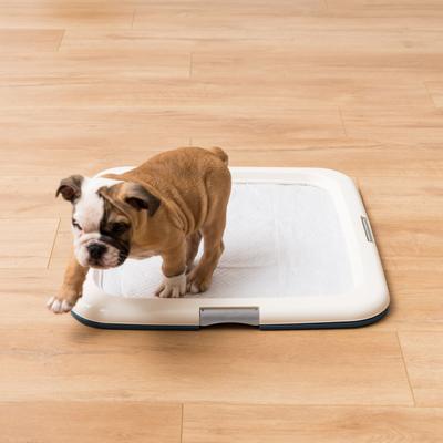 Show full view: IRIS Non-skid Dog Plastic Training Pad Holder, Navy, Large slide 6 of 10