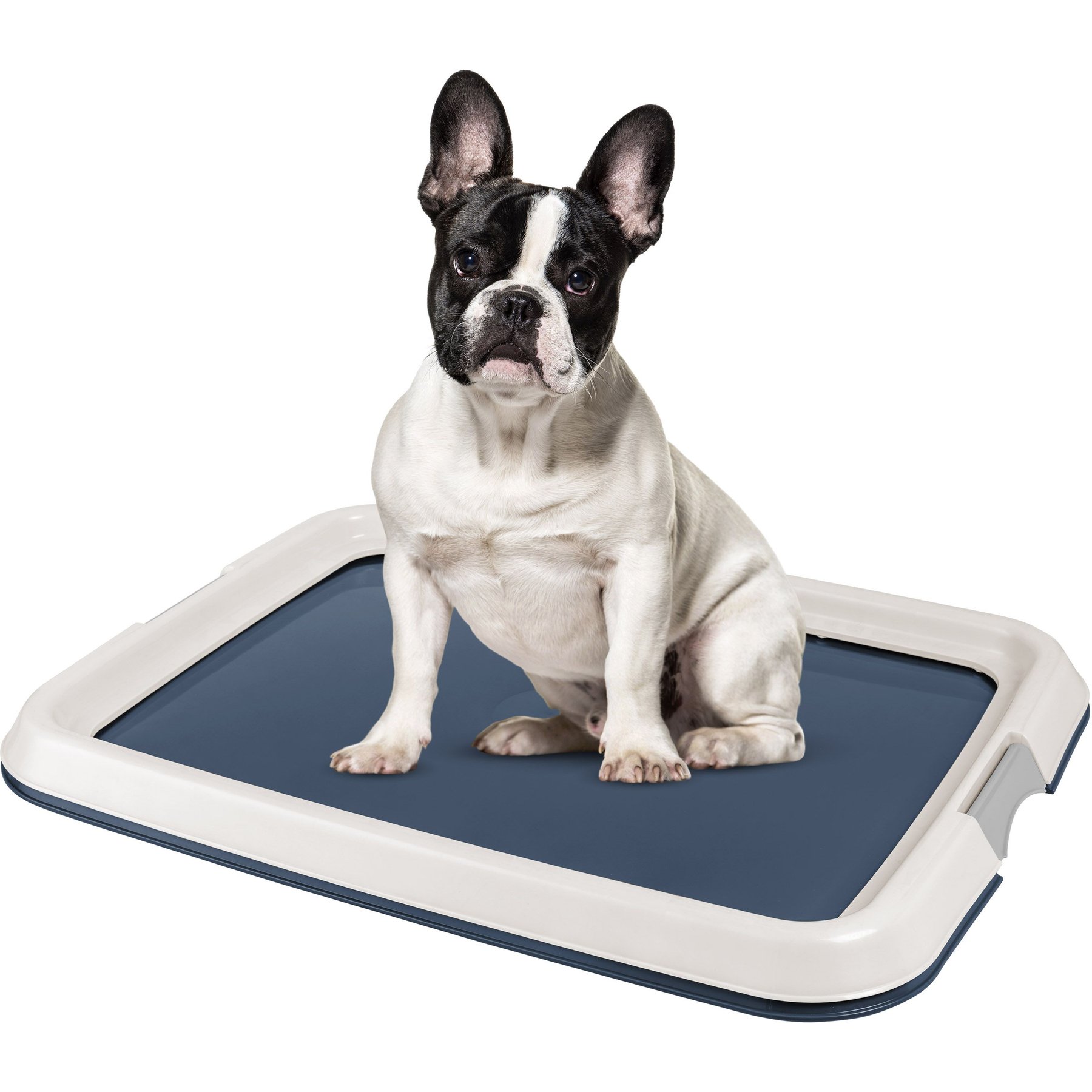 IRIS Non-skid Dog Plastic Training Pad Holder, Navy, Medium