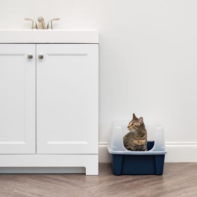 Show full view: IRIS Open Top Cat Litter Box with Scatter Shield, Navy, Large slide 3 of 13
