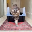 Show in main carousel: IRIS Open Top Cat Litter Box with Scatter Shield, XX-Large, Black slide 7 of 10