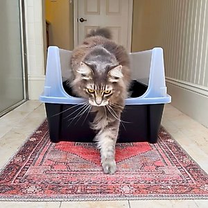 IRIS Open Top Cat Litter Box with Scatter Shield, X-Large, Black