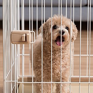 IRIS Open Wire Dog Pen, Medium