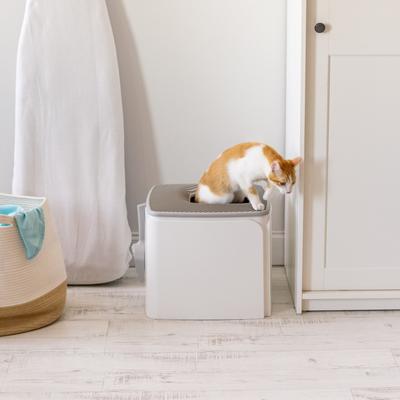Show full view: IRIS Premium Square Top Entry Cat Litter Box with Scoop, White & Gray, Large slide 7 of 10