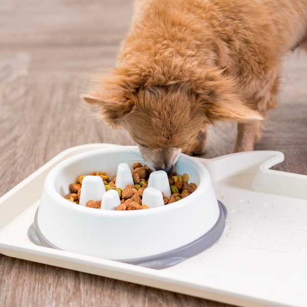 IRIS Slow Feeder with Raised Bumps & Non-Slip Rubber Dog & Cat Bowl