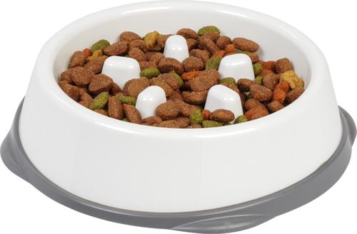 Show full view: IRIS Slow Feeder with Raised Bumps & Non-Slip Rubber Dog & Cat Bowl, Long Snouted, White/Grey, 2 cups slide 5 of 8