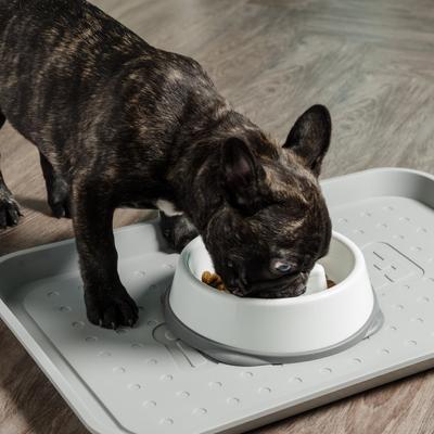 Show full view: IRIS Slow Feeder with Raised Bumps & Non-Slip Rubber Dog & Cat Bowl, Short Snouted, White/Gray, 2-cup slide 4 of 9