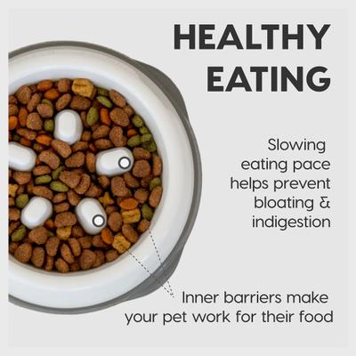 Show full view: IRIS Slow Feeder with Raised Bumps & Non-Slip Rubber Dog & Cat Bowl, Short Snouted, White/Gray, 2-cup slide 5 of 9
