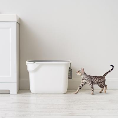 Show full view: IRIS Square Top Entry Cat Litter Box with Scoop, Large, White slide 7 of 12