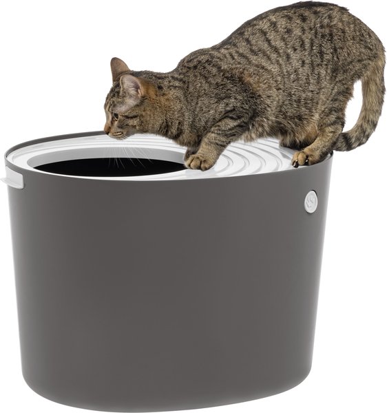 Show full view: IRIS Top Entry Cat Litter Box with Scoop, Gray/White, Large slide 1 of 10
