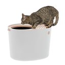 IRIS Top Entry Cat Litter Box with Scoop, White/Beige, Large