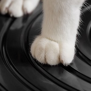 IRIS Top Entry Cat Litter Box with Scoop, White/Black, Large