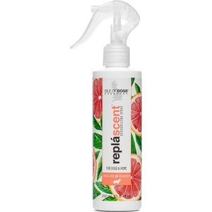 Isle of Dogs Sugar Cane + Grapefruit Replascent Odor Deodorizing Spray, 8-fl oz bottle
