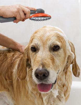 Show full view: Ivation Portable Camping Shower slide 6 of 10