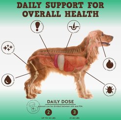 Jack & Pup Bark Buddies Aller-Care Dog Immune Supplement, 60 count slide 2 of 7