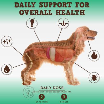 Show full view: Jack & Pup Bark Buddies Aller-Care Dog Immune Supplement, 60 count slide 3 of 8