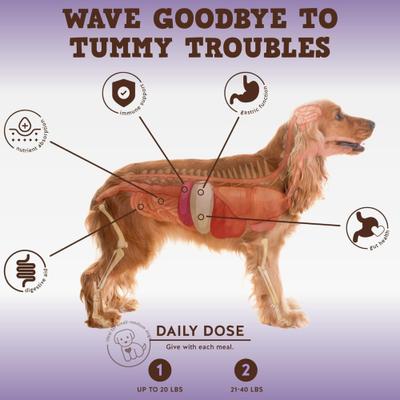 Show full view: Jack & Pup Bark Buddies Pro-Digest Dog Supplement, 60 count slide 3 of 8