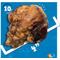 Show in main carousel: Jack & Pup Beef Knee Cap Bones Dog Treats, 2 count slide 4 of 7
