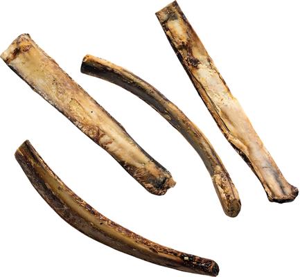 Show full view: Jack & Pup Beef Rib Bone 12-in Dog Treats, 3 count slide 3 of 8