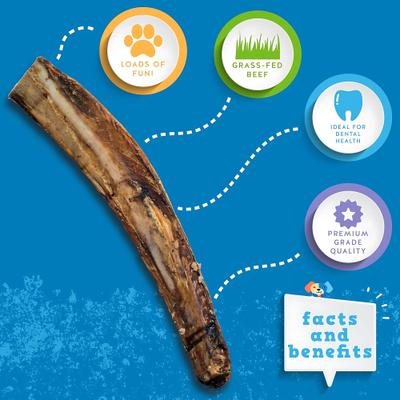Show full view: Jack & Pup Beef Rib Bone 12-in Dog Treats, 3 count slide 4 of 8