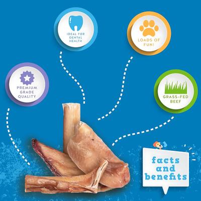 Show full view: Jack & Pup Bully Sticks Bites Dog Treats, 6-oz bag slide 4 of 7