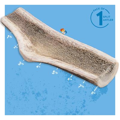 Show full view: Jack & Pup Large Split Elk Antler Extra Thick Dog Chew Treats, 8-in slide 3 of 7