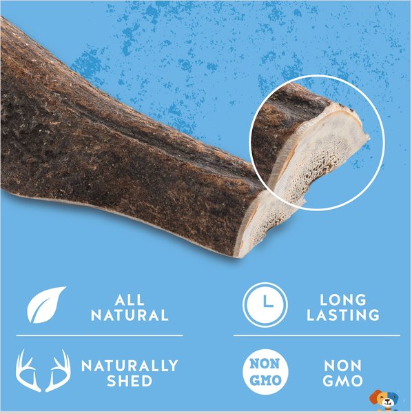 Jack & Pup Large Split Elk Antler Thick Dog Chew Treats, 8-in